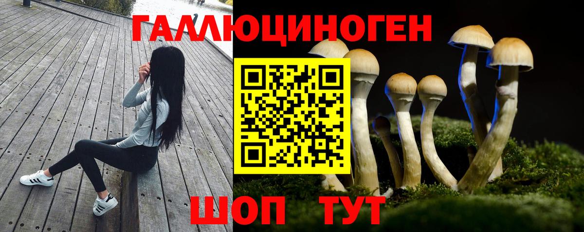 Галлюциногенные грибы GOLDEN TEACHER  Псилоцибиновые грибы MAGIC MUSHROOMS  Ухта  даркнет сайт  Вход с VPN 