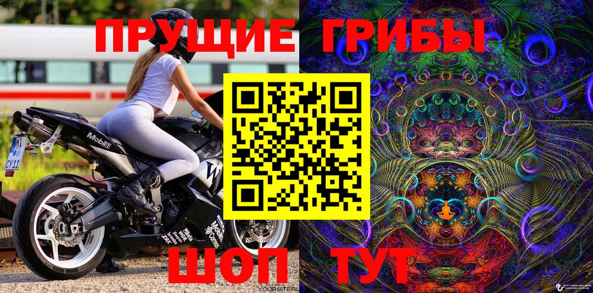 Галлюциногенные грибы Psilocybe Ухта